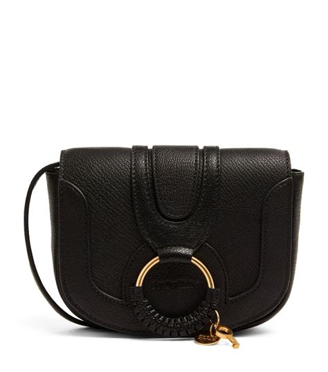 chloe hana crossbody bag.